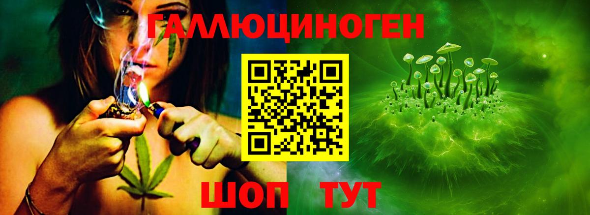 Псилоцибиновые грибы Psilocybine cubensis Нижний Тагил